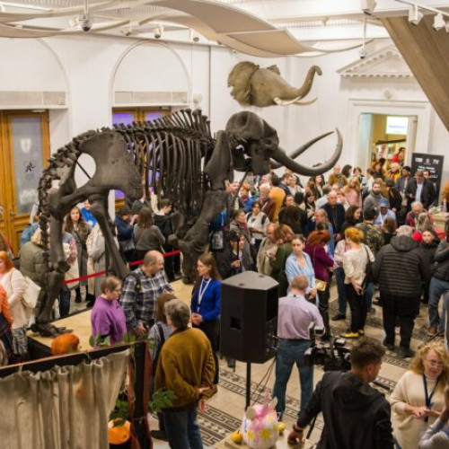 Muzeul Național de Istorie Naturală "Grigore Antipa" anunță program special de vizitare de Crăciun