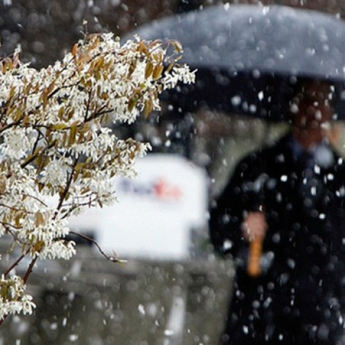 Vreme variabilă în România: Plouă slab în Maramureș și condiții de ceață în București