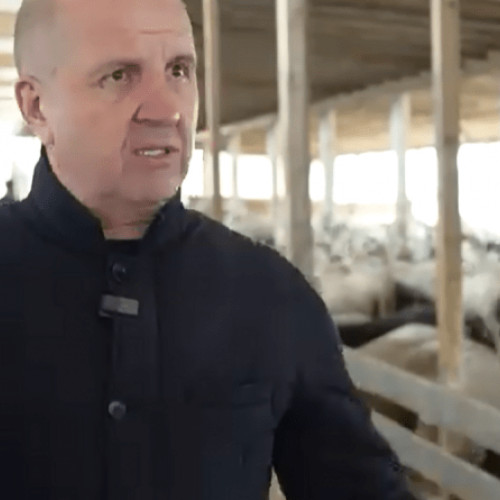 Dumitru Andresoi, fermierul hunedorean, eliberat din arest cu control judiciar