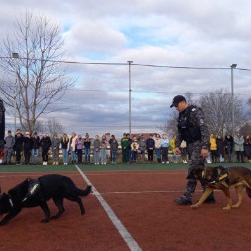 Jandarmii botoșăneni, întâlnire educativă cu elevii Școlii Gimnaziale „Octav Băncilă”