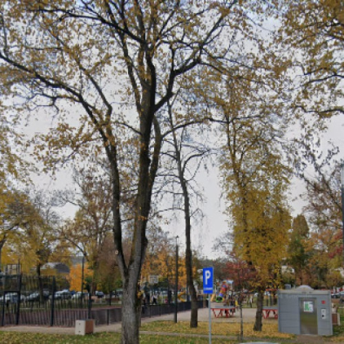 Mamica din Cluj-Napoca se teme de parcul din apropierea casei sale