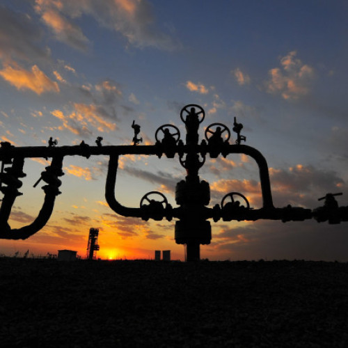 Parlamentarii germani elimină taxa pe gazele naturale, sprijin pentru diversificarea surselor de aprovizionare