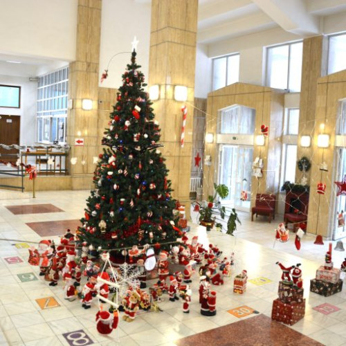 Concursul "Ai nostri, ca brazii" a fost câștigat de Biblioteca Județeană Constanța