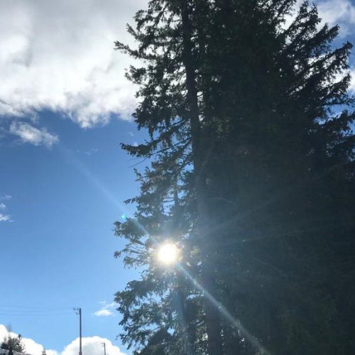 Solstițiul de iarnă 2024, un eveniment astronomic important