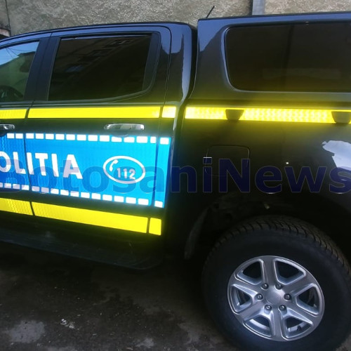 Un bărbat din Mihai Eminescu a ucis o pisică din răzbunare