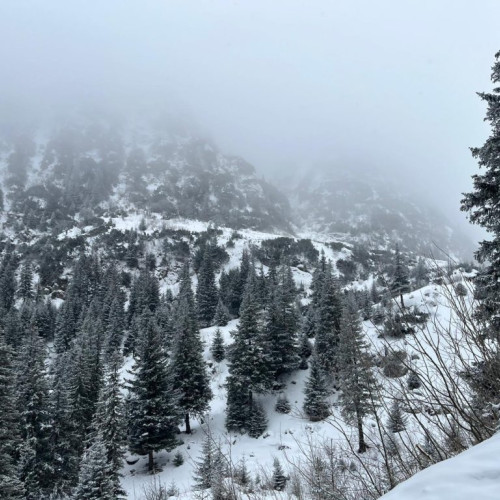 Salvamont Râșnov efectuează patrulări preventive în Muntii Bucegi