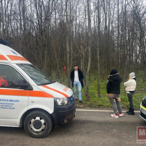 Descoperire macabră în pădurea de la Rediu