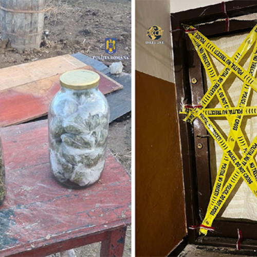 Arestarea unei persoane din Tulcea pentru trafic de canabis