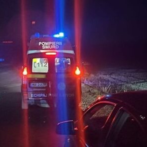 Accident rutier pe drumurile din Dobrogea