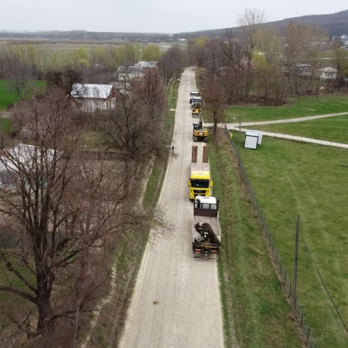 Guvernul României aprobă transferul unui drum forestier în domeniul public al județului Botoșani