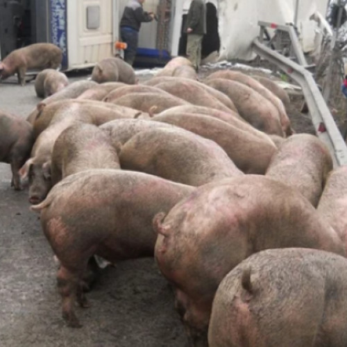 Accident rutier neobișnuit în județul Cluj