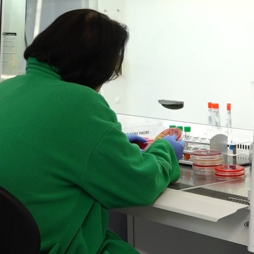 Analize medicale gratuite pentru români, indiferent de vârstă