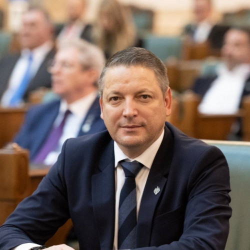 PSD domină comisiile din Senat cu șapte președinți