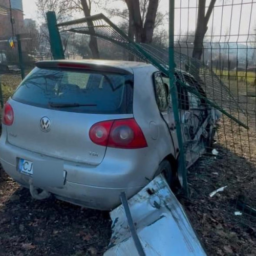 Accident neobișnuit la tarcul de câini de la Cora