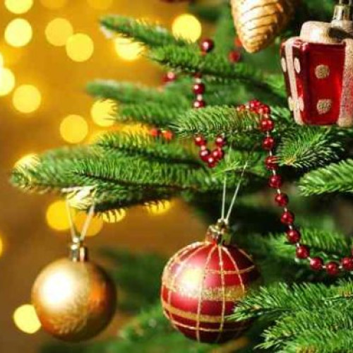 Mesaje de Crăciun și An Nou de la primarul comunei Măicănești