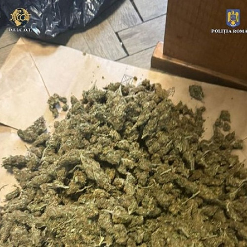 Captură de droguri în Satu Mare: un bărbat reținut pentru trafic de canabis