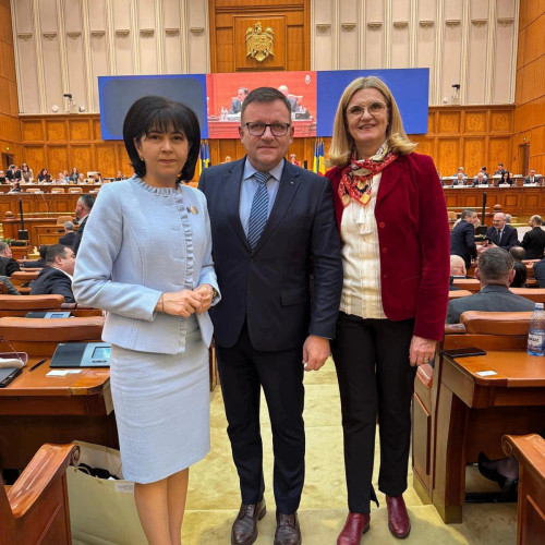 PSD subliniază necesitatea stabilității politice și economice în România