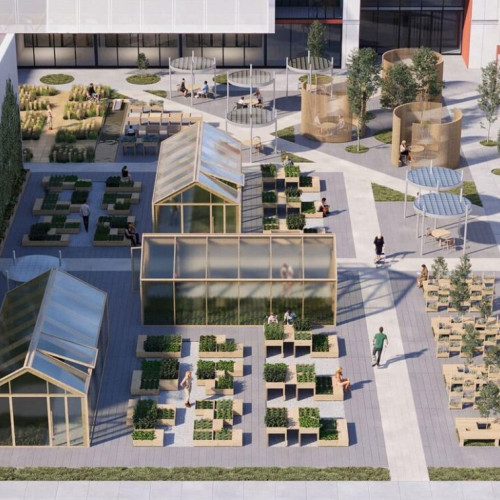 Consiliul Local Bistrița aprobă proiectul Centrului Regional de Tratare a Adictiilor la Minori