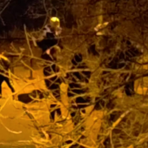 Petardele lansate fără milă pun în pericol siguranța pietonilor