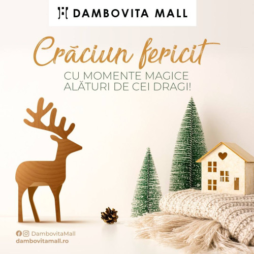 Dambovita Mall invită locuitorii la activități festive și patinoar