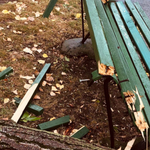 ISU București-Ilfov: Intervenții în urma vremii extreme