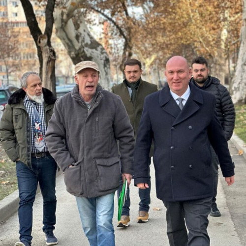 Primarul Bistriței provocat de soluția desființării gardului viu