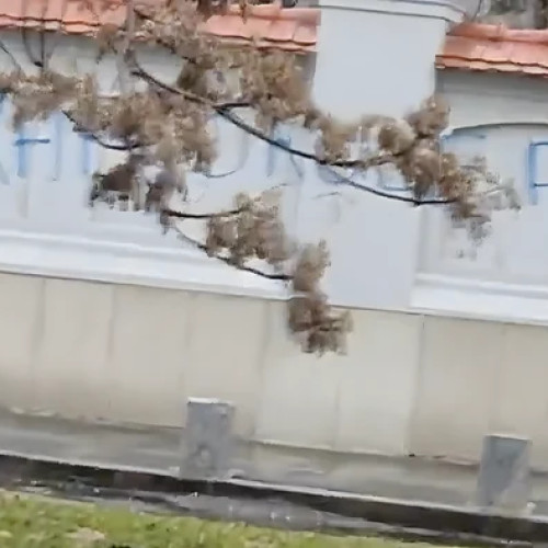 Mesaj pe gardul Palatului Cotroceni: "Tradatorule, pleaca"