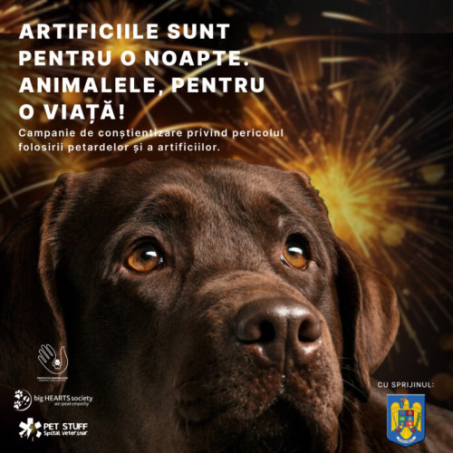 Campanie de conștientizare pentru protejarea animalelor în fața artificiilor