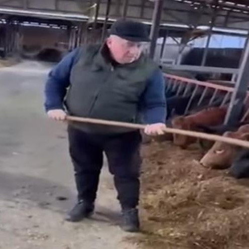 Daniel Buda, europarlamentar, se implică activ în viața fermierilor români de Crăciun