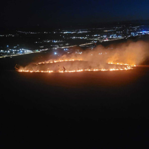 Incendiu de vegetație la ieșirea din Alba Iulia