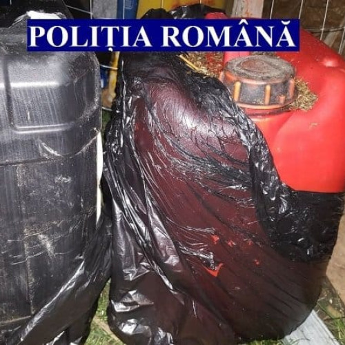 Cinci tineri din Sibiu, condamnați pentru furt de motorină