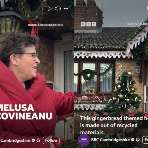 Camelia Bucovineanu, o botoșăneancă din Anglia, impresionază cu "Casa de turtă dulce"