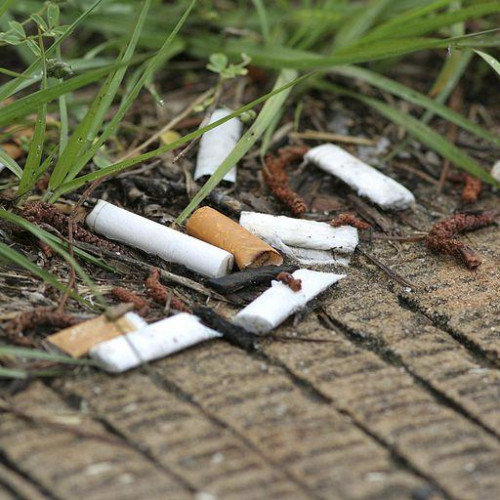 Amenzi de până la 2.500 de lei pentru botoșănenii care nu respectă regulile de curățenie