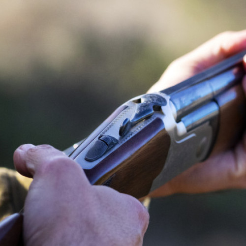 Fostul deputat PSD Victor Roman, anchetat după o tragere accidentală în timpul unei vânători