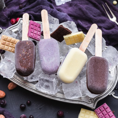 Fabrica de înghețată din comuna Poarta Albă va fi construită de SC DTS LOGISTIC SERVICES SRL