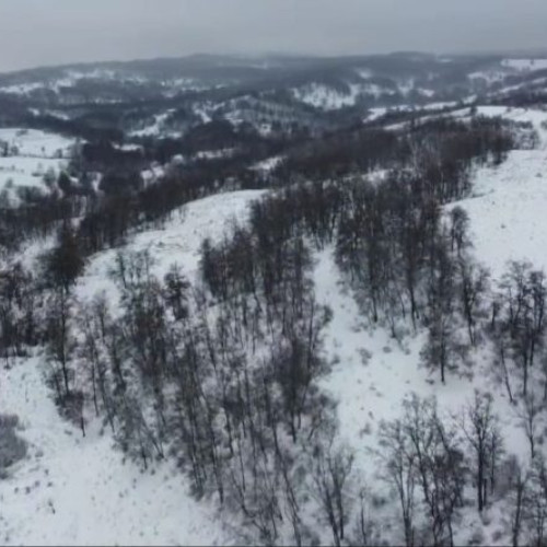 Tragédie în satul Verdea: un bărbat împușcat mortal în timpul vânătorii