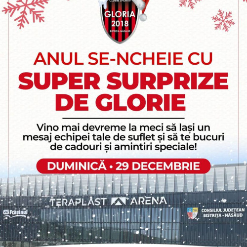 Meci cu casa închisă la TeraPlast Arena pe 29 decembrie