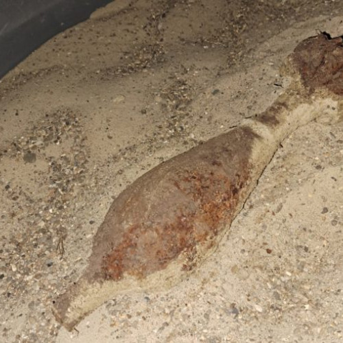 Descoperire periculoasă în pădurea Poenita: un bărbat găsește o bombă neexplodată