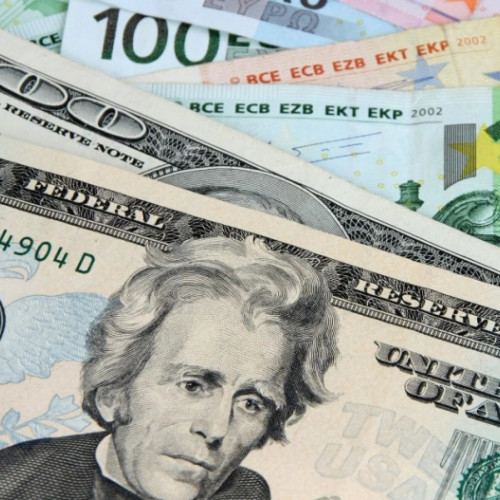 Evoluția stabilă a monedei naționale față de euro