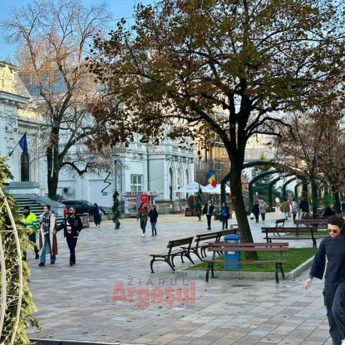 Anunț important pentru pitesteni: colectarea deșeurilor reciclabile și a brazilor de Crăciun