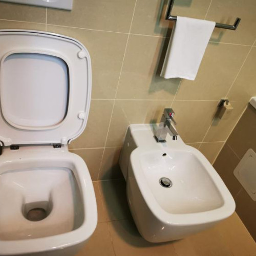 Dispariția periei de WC din hoteluri, o problemă întâlnită de turiști