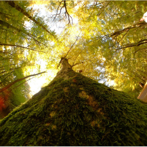 Concurs internațional de artă fotografică organizat la Oradea