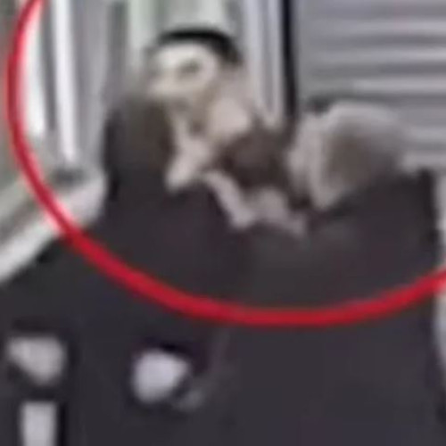 Razvan Lucescu, suspendat timp de patru luni după incidentele de la "OPAP Arena"