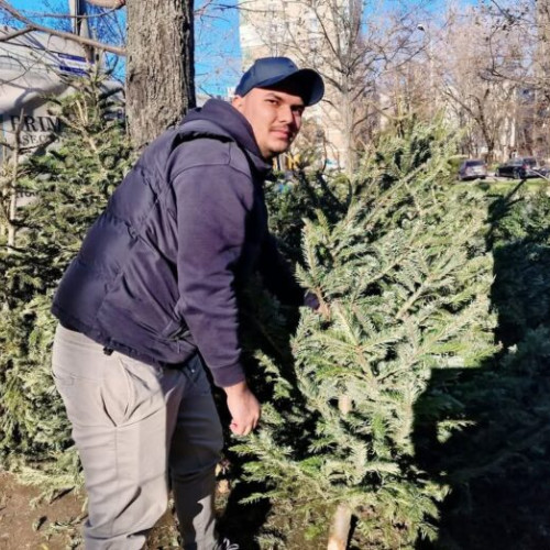 Locuitorii Sectorului 6 pot repune brazii naturali la centrele de colectare a deșeurilor