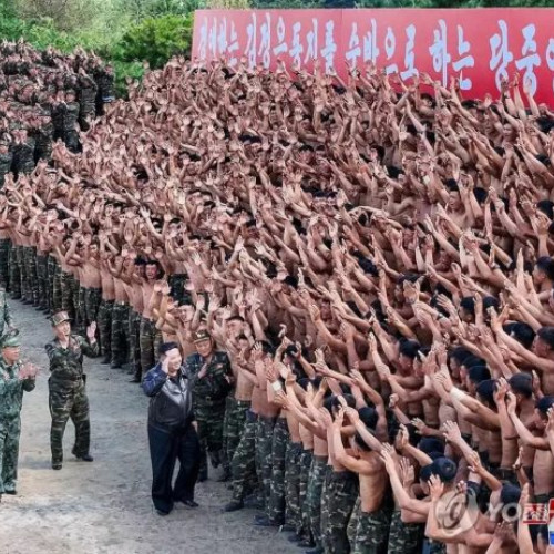 Trupele nord-coreene în Ucraina: neclarități și provocări