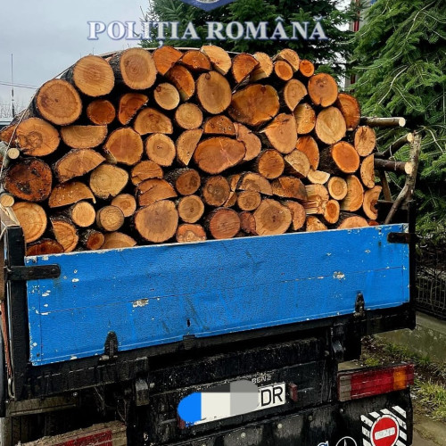 Botoșănean amendat și lăsat fără lemne după un control al poliției