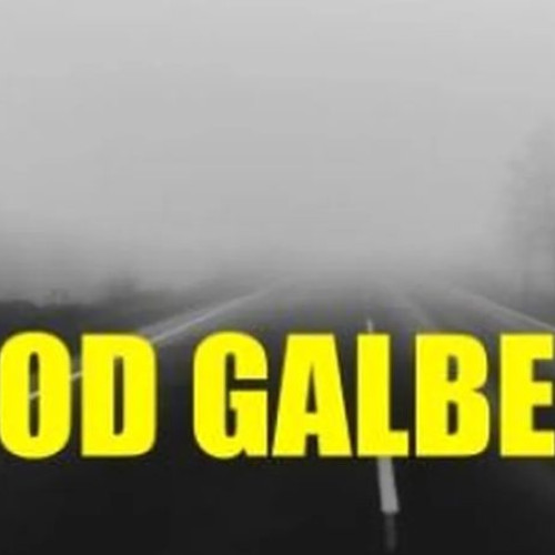 Alerte meteo: COD GALBEN de ceată în Maramureș