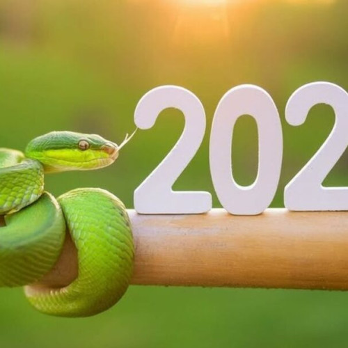 Anul Sarpelui: un an de reflecție și oportunități
