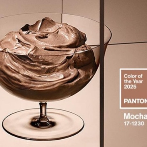 Culoarea anului 2025 aleasă de Pantone: Mocha Mousse