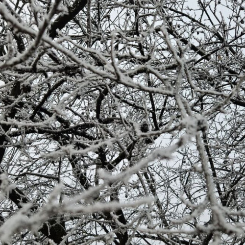 Atenționare meteorologică: precipitații moderate și ninsori în următoarele zile